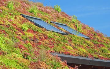 Dunsford living roof systems